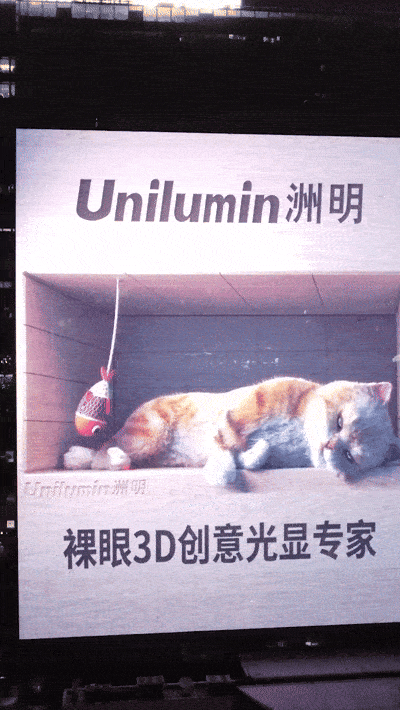 数字内容GIF2